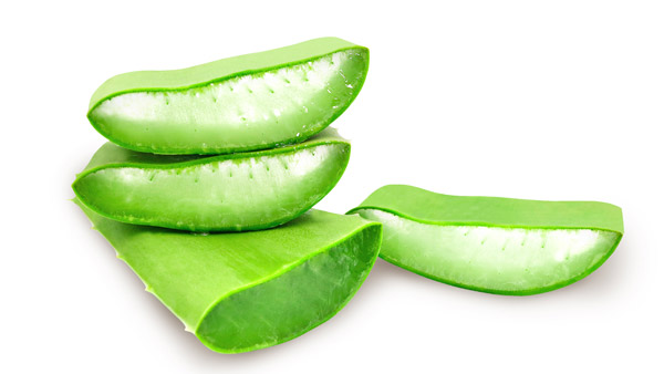 aloe2