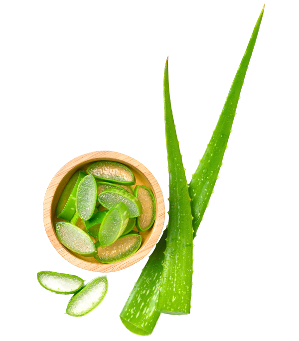 aloe_trans